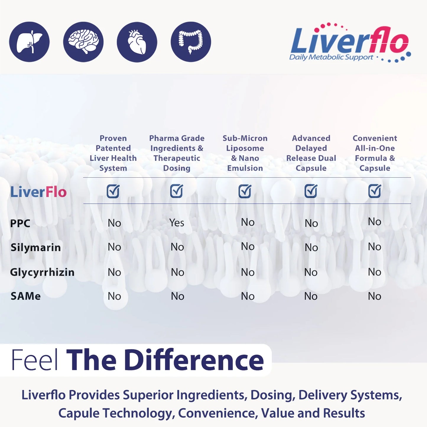 LiverFlo 4 in 1 Essentials 2 Pack - Premium, Patented, Exceptional, Proven Liver Support
