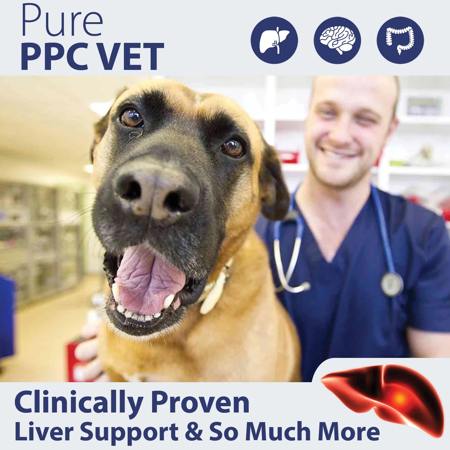 PhosChol PPC VET - Superior Pharmaceutical Grade, Veterinarian Recommended Liver Support