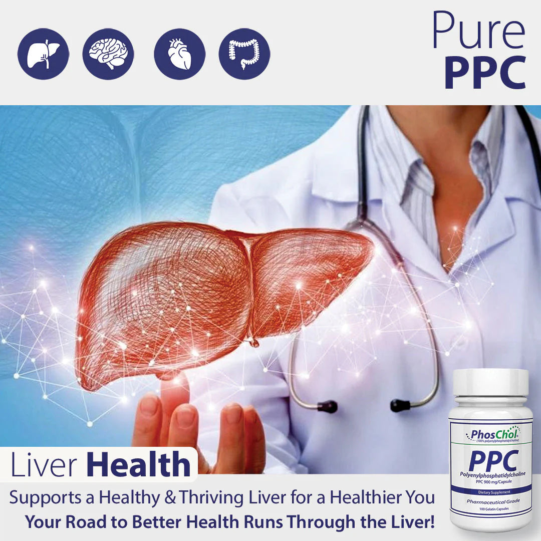 PhosChol 600 120ct. Veggie Cap Pharmaceutical Grade PPC For Cellular Repair and Healthy Gut, Liver, Brain Function