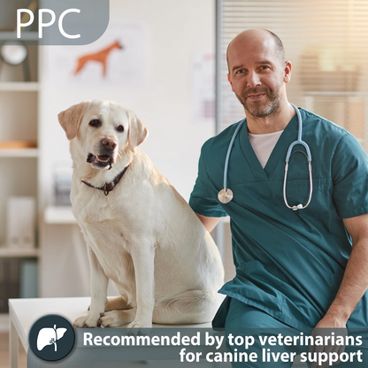 PhosChol PPC VET - Superior Pharmaceutical Grade, Veterinarian Recommended Liver Support