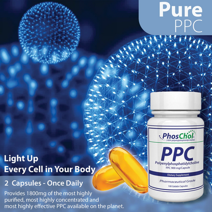 PhosChol 900 60ct. Veggie Cap Pharmaceutical Grade PPC For Cellular Repair and Healthy Gut, Liver, Brain Function